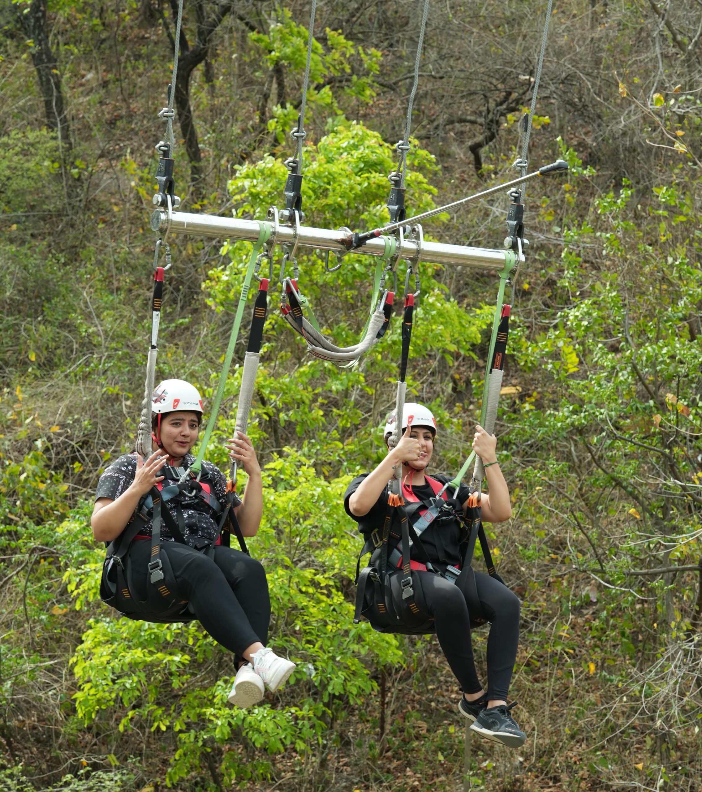 giant Swing in Jim corbett